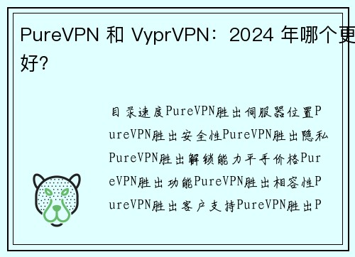 PureVPN 和 VyprVPN：2024 年哪个更好？